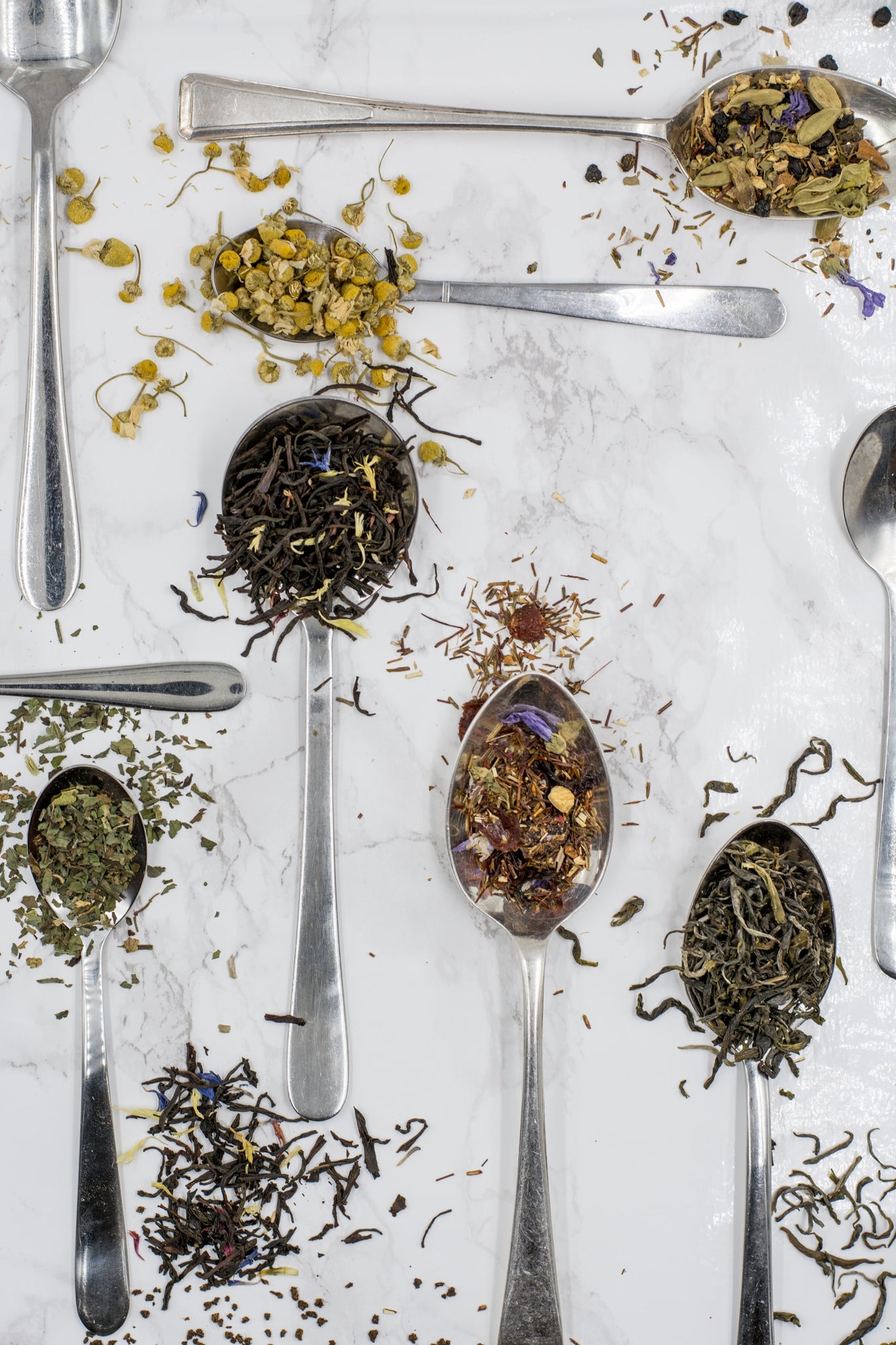 Learn how to brew Loose Leaf Teas
